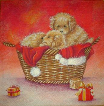 050 Hunde